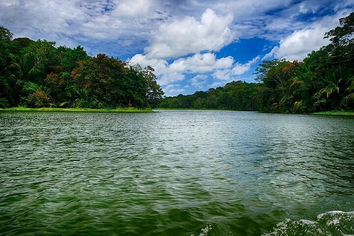 Gatun Locks VIP Deck Viewing & Canal History Private Tour