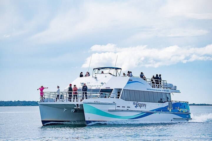 Port Stephens Dolphin Watching & Luxury Sailing Cruise