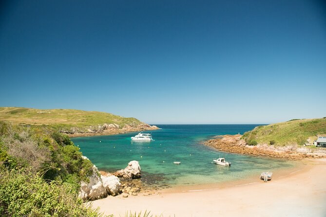 Broughton Island Snorkel & Wilderness Cruise, Port Stephens