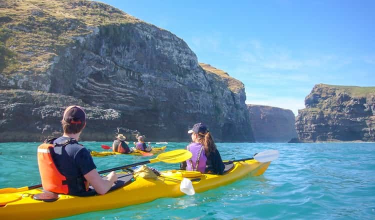 Akaroa: 4WD Safari & Guided Sea-Kayaking Adventure