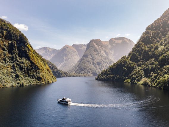 Doubtful Sound: Overnight Wilderness Cruise
