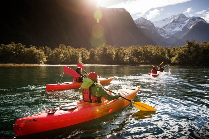Milford Sound: Guided Sea Kayak Expedition