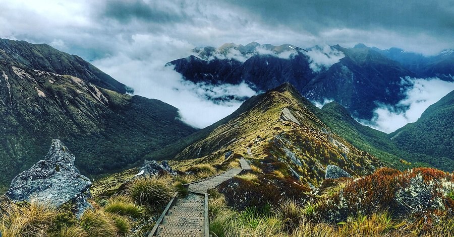Kepler Track: Private Guided Alpine Ridge Walk from Te Anau