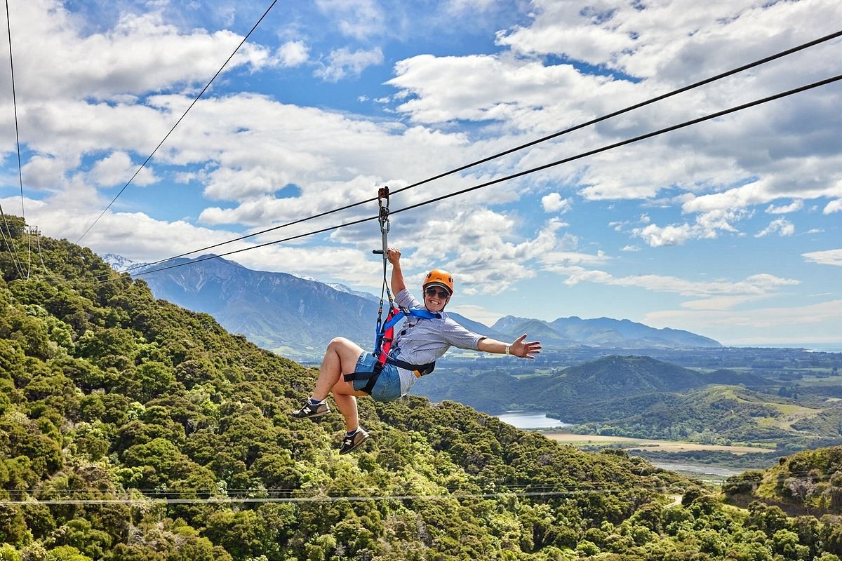 Kaikōura EcoZip: Zipline & Native Forest Canopy Adventure