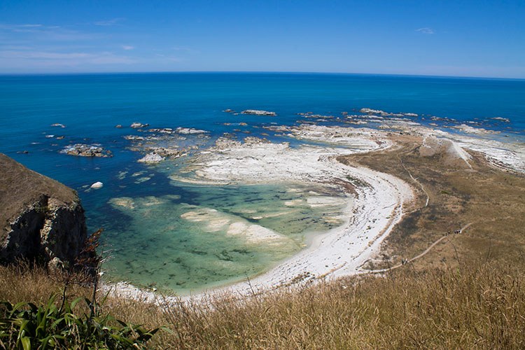 Kaikōura Peninsula Walkway: Seals, Scenery & Solitude
