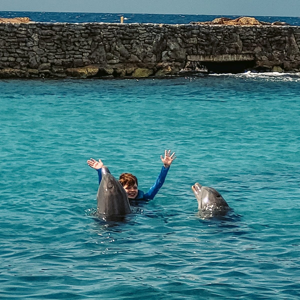 Curaçao Sea Aquarium: Private Dolphin Encounter & Reef Snorkel