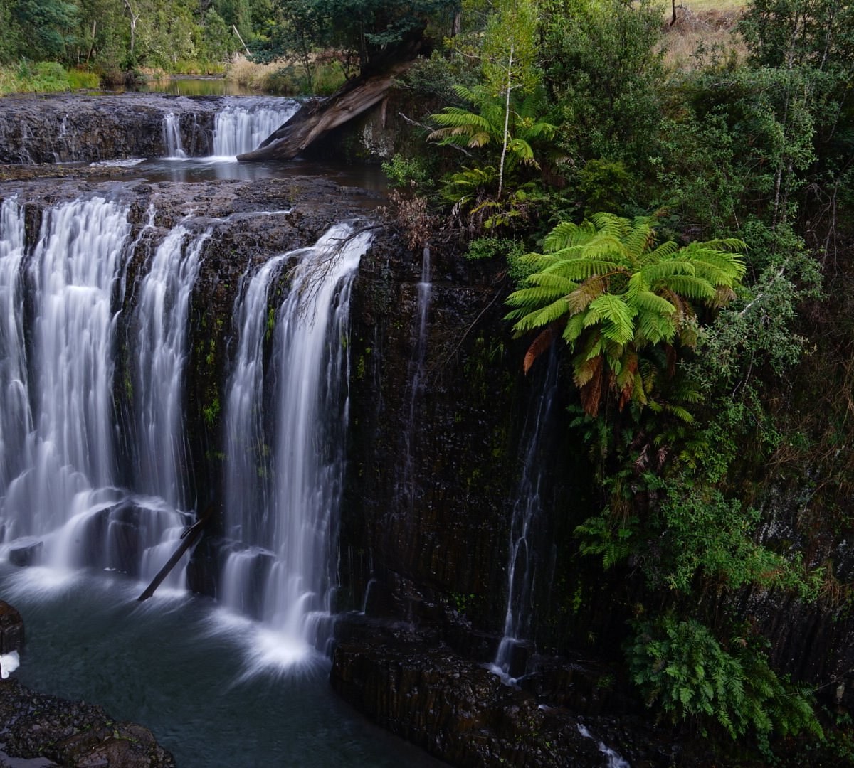 Guide Falls & Waratah Village: Northwest Wilderness & Heritage Drive