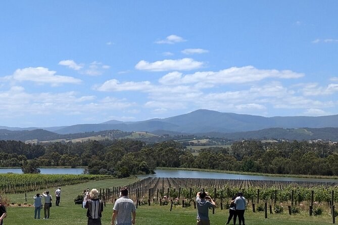 Yarra Valley Winery Tour: Private Luxury with Port Pickup