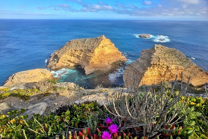 Tasting Eyre: Private Full-Day Coastal & Culinary Journey