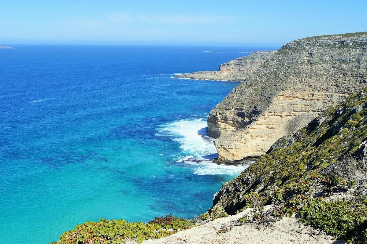 Whalers Way & Lincoln National Park: Private 4WD Coastal Safari