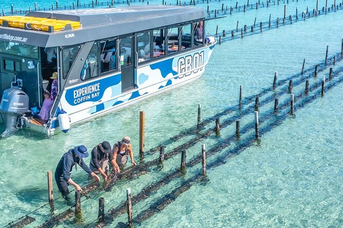 Coffin Bay Oyster Farm: Private Boat & Harvest Experience