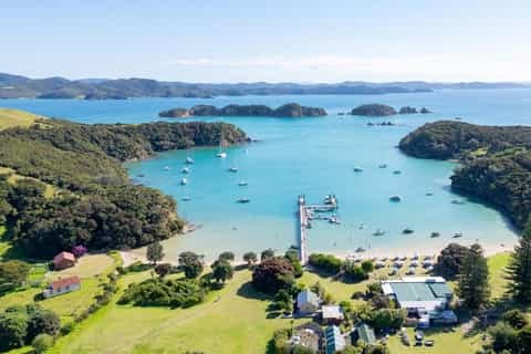 Waitangi Treaty Grounds: Private Expert-Guided Tour
