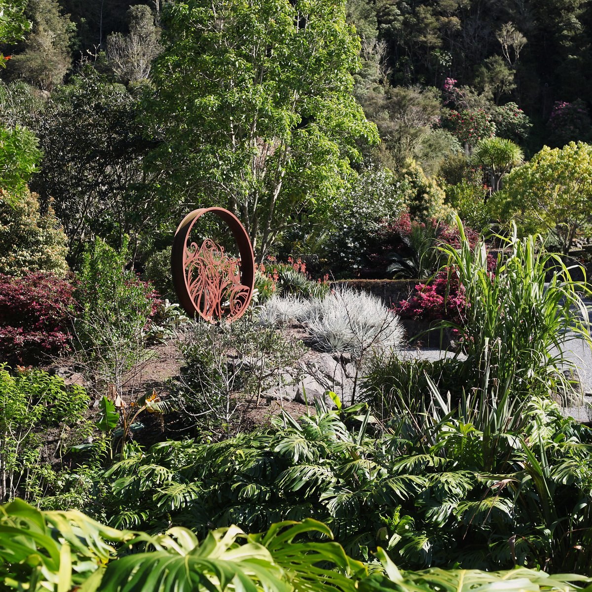 Whangarei Quarry Gardens & Botanica: Guided Private Garden Tour