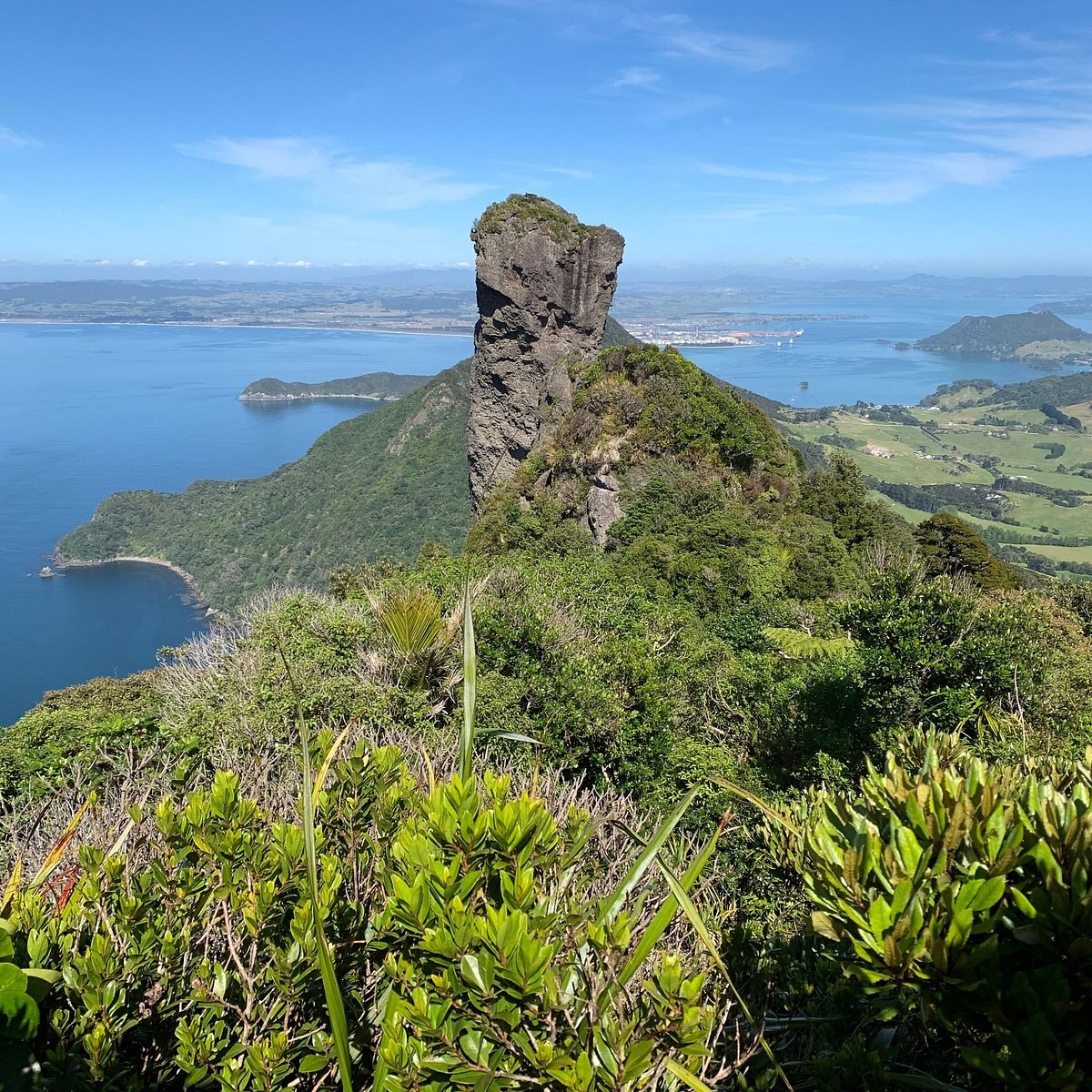 Bream Head Coastal Ridge Trek: Private Naturalist-Guided Hike