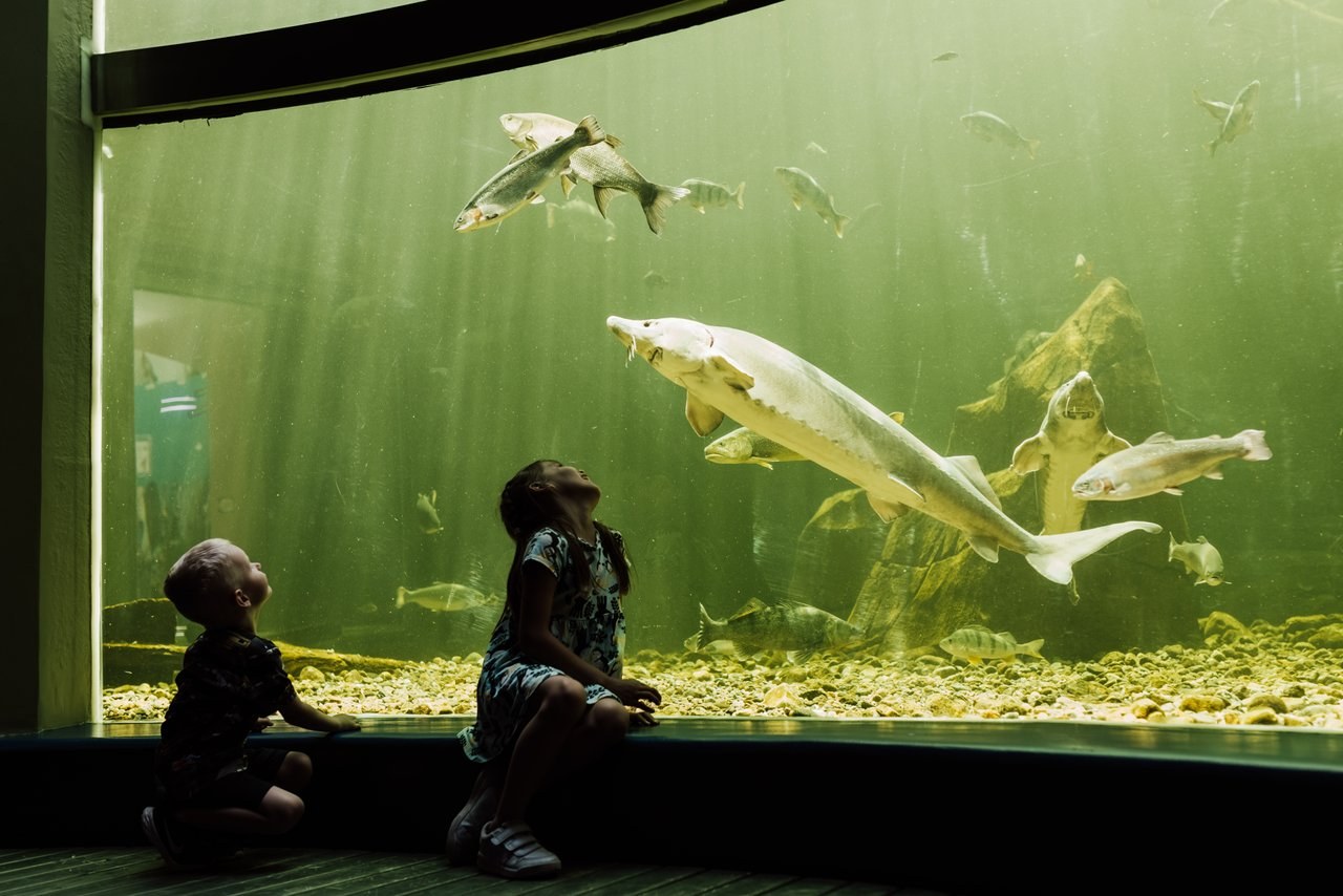 Maretarium: Finland's Freshwater & Baltic Sea Aquatic Wonder