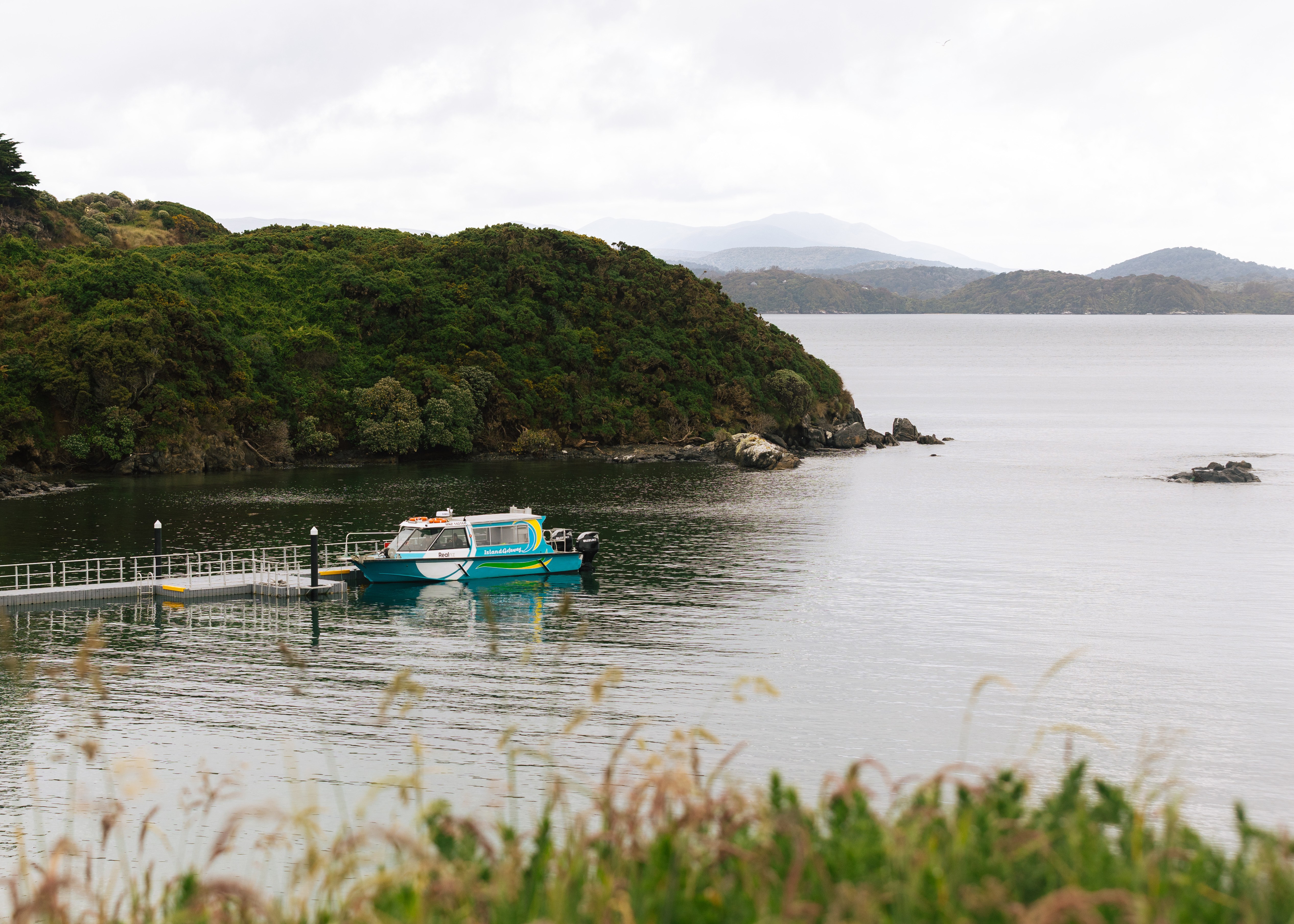 Stewart Island: Kiwi Spotting Wilderness Encounter