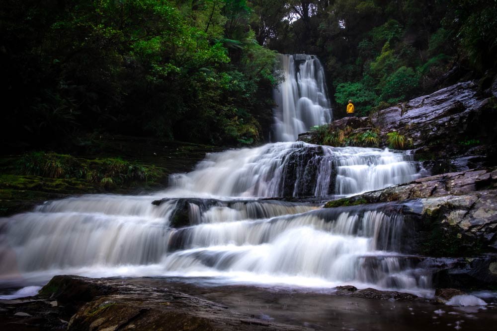 Catlins Coast: Waterfalls, Fur Seals & Petrified Forest