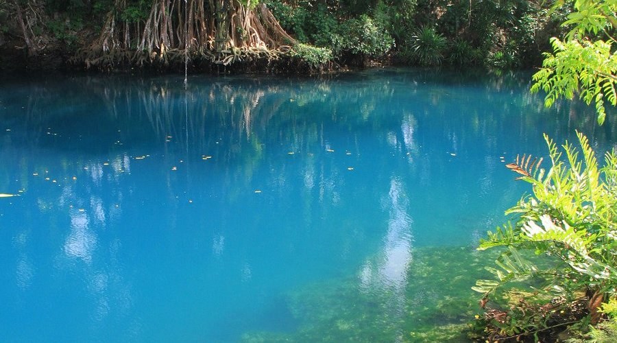 Blue Lagoon & Matevulu: Private Half-Day to Santo's Jewel Waters