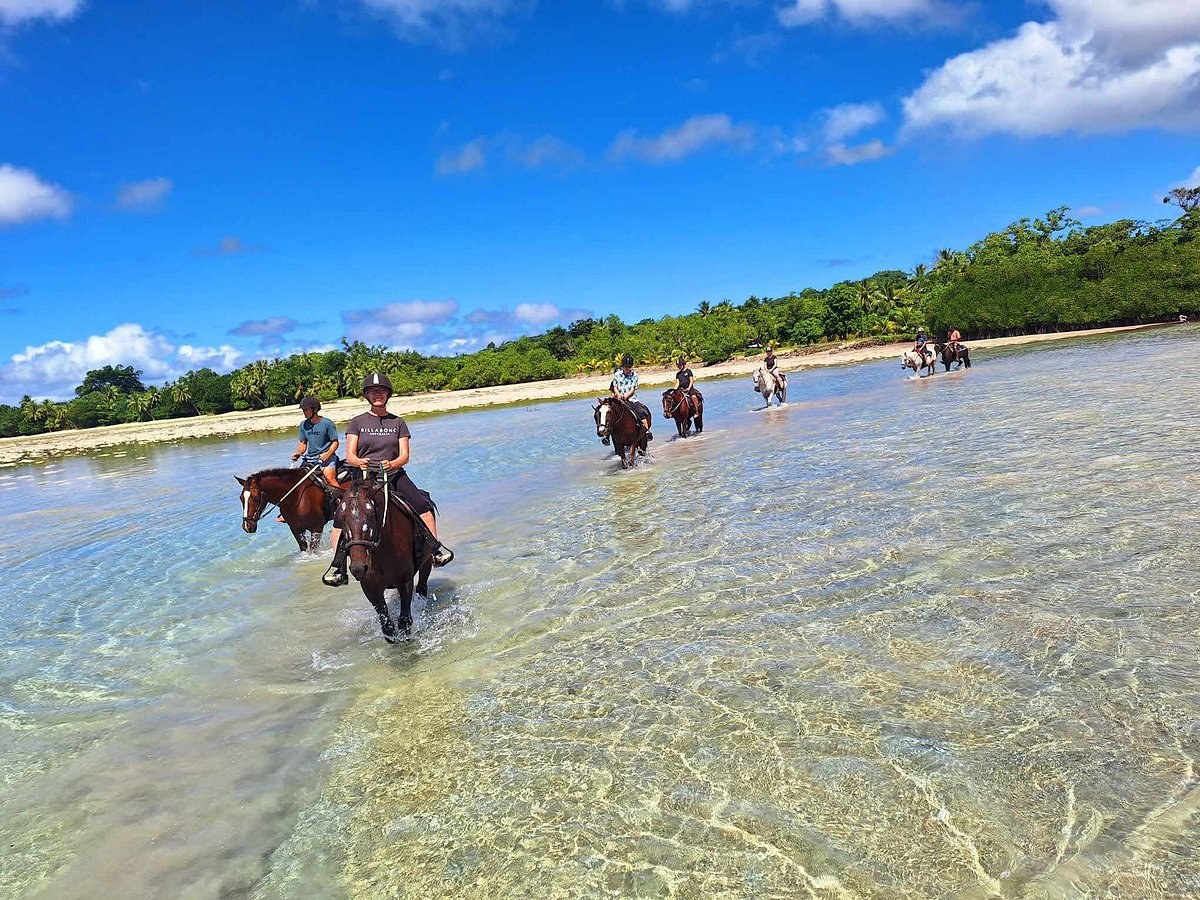 Santo Horse Adventures: Beachside Ride Through Paradise