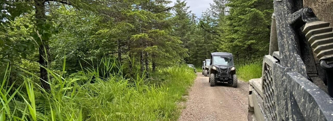 Wilderness Island UTV Expedition Through Tongass Rainforest