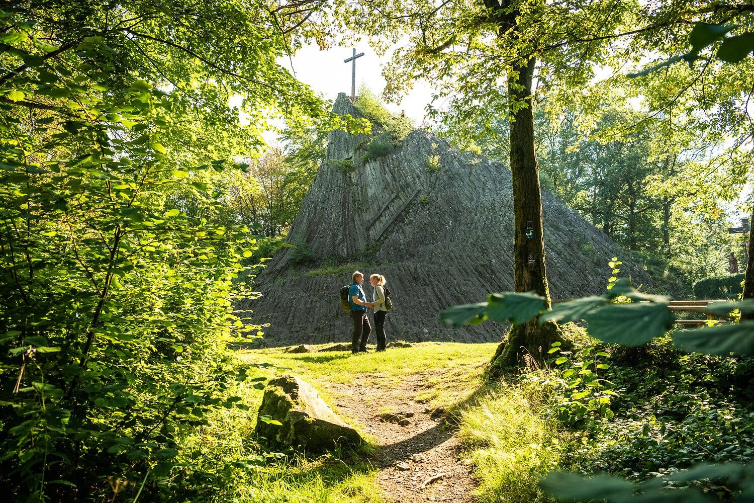 Siegerland Forest: Private Guided Hiking Experience in Ancient Woodland