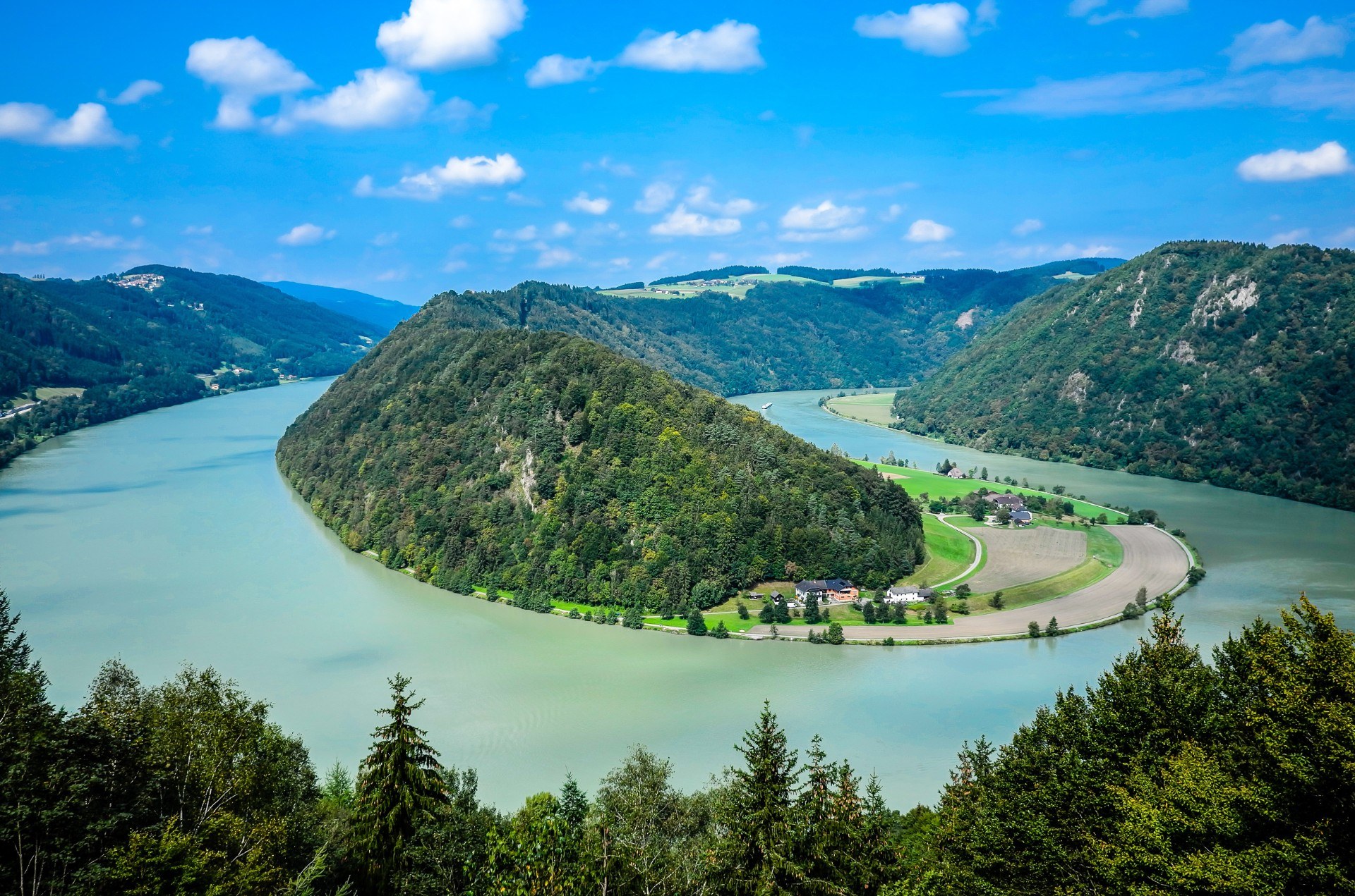 Schlögener Schlinge: Guided Cycle Through the Danube's Greatest Meander