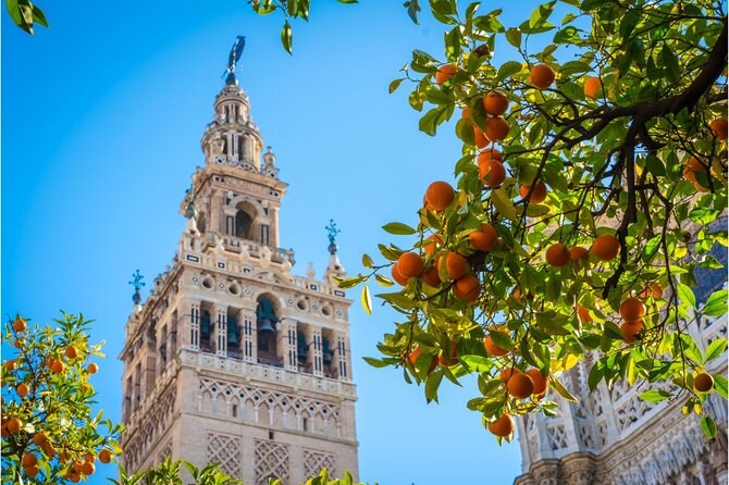 Seville Cathedral & La Giralda: Private Skip-the-Line Ascent