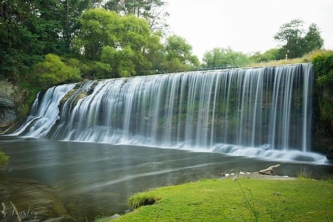 Eastwoodhill Arboretum & Rere Falls Private Port Tour