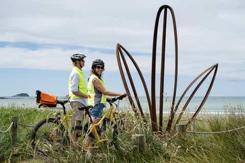 Tairāwhiti Museum & Guided City Bike Tour — Culture & Coast