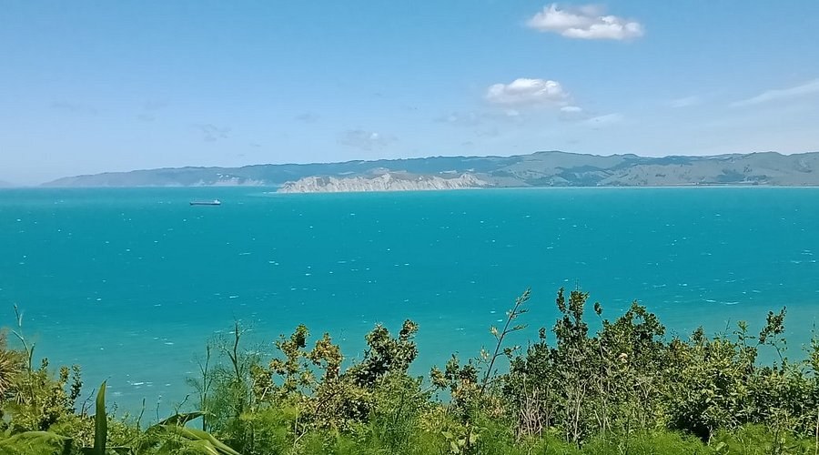 Kaiti Hill Sunrise & First Light Gisborne — Private Guided Walk