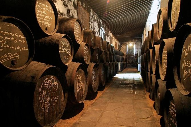 Jerez Sherry Bodega & Flamenco: Osborne & Real Escuela