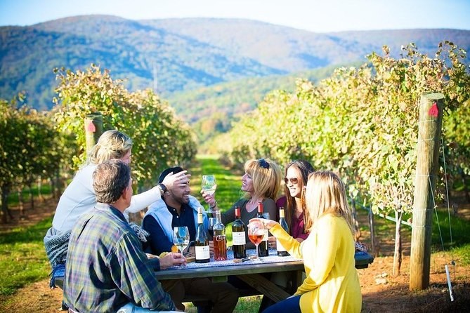 Maipo Valley Private Wine Estate Experience & Gourmet Lunch
