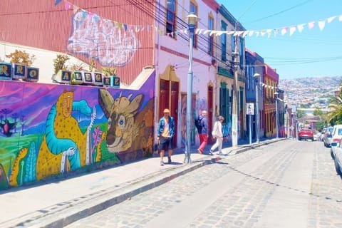 Valparaíso: Funiculars, Street Art & UNESCO Quarter with Private Guide