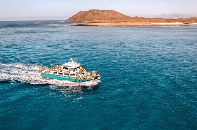 Private Boat to Isla de Lobos: Cetaceans & Snorkel