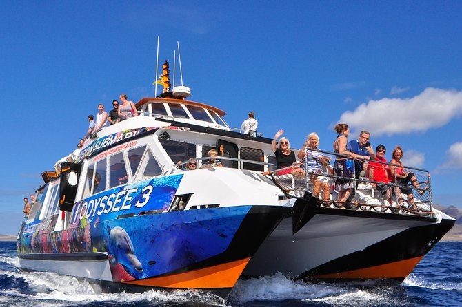Odyssée 3 Glass-Bottom Boat: Reef & Shipwreck Exploration