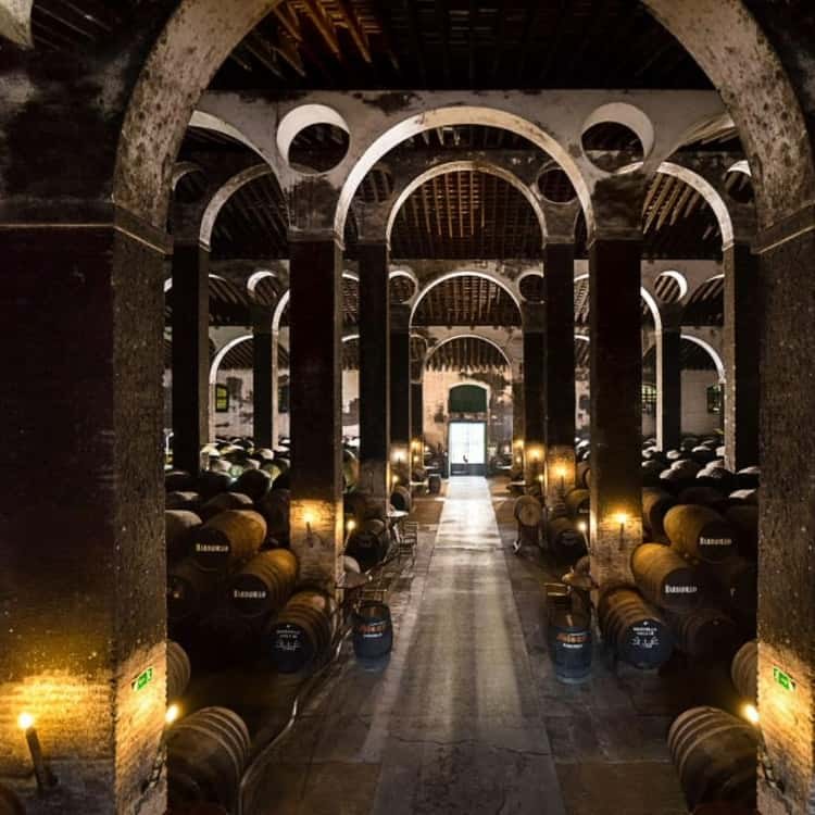 Bodegas Barbadillo: Private Manzanilla Masterclass in Sanlúcar