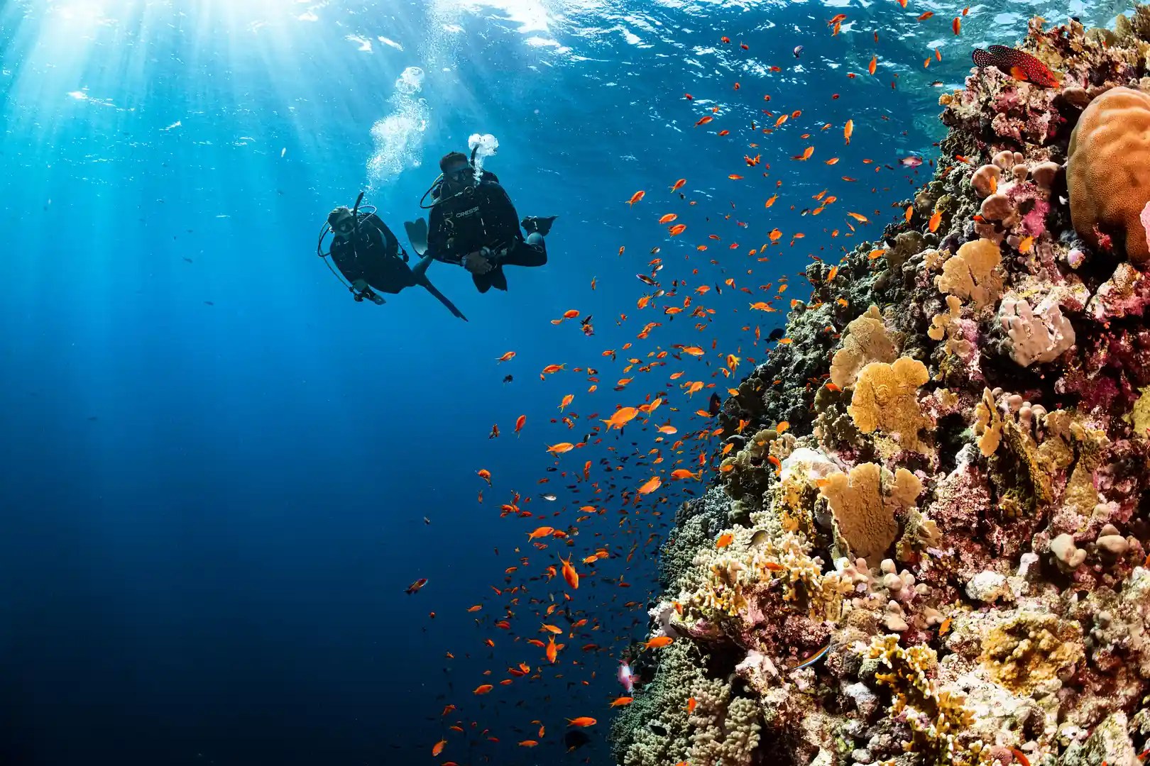 Taganga Village Scuba Diving — Twin-Tank Dive on Pristine Reefs