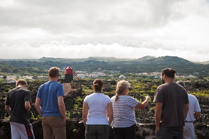 Banana Trip: Private Full-Day Pico Wine & Culture Tour from Faial