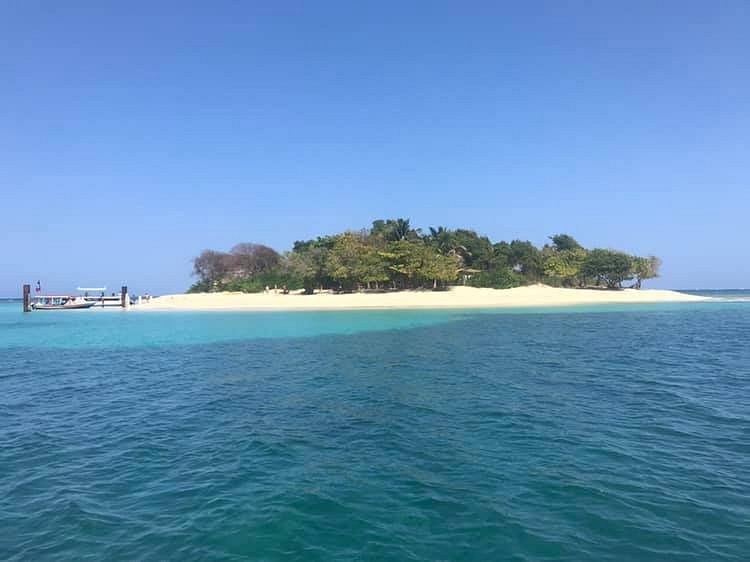 Amiga Island Private Beach Escape by Water Taxi