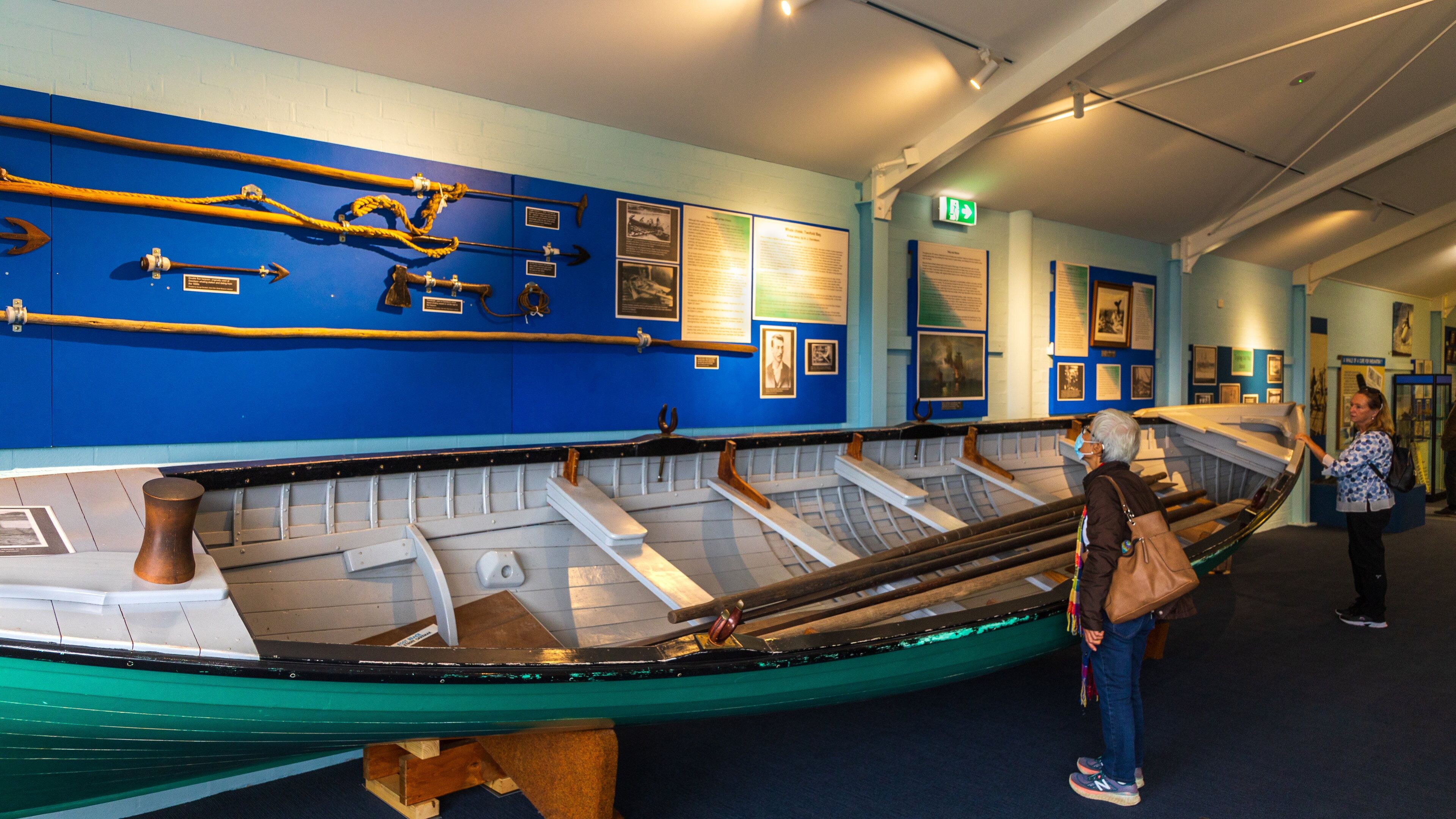 Eden Killer Whale Museum: Private Guided Deep-Dive
