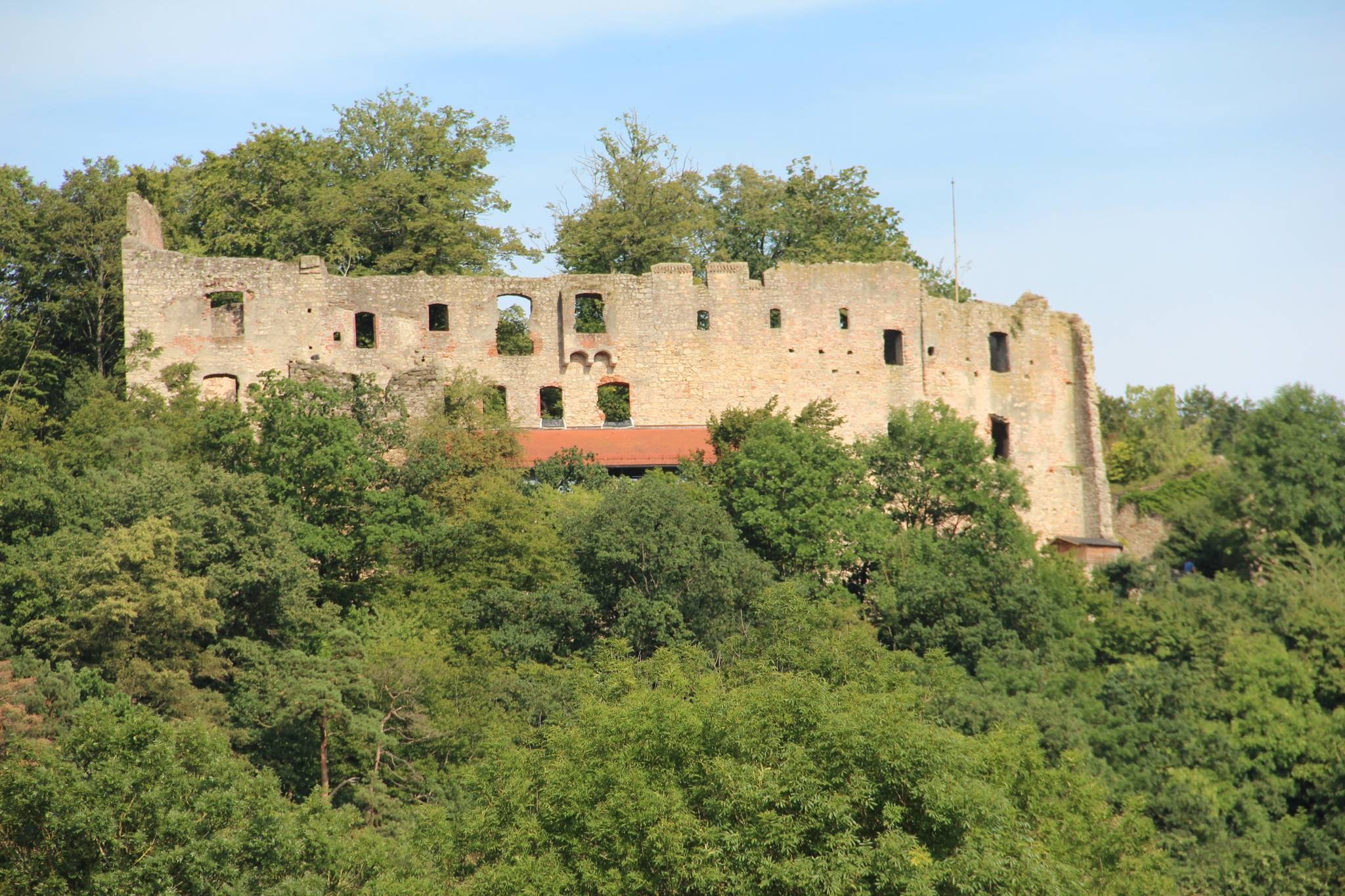 Burgruine Hilgartsberg: Ruined Castle Hike Above the Danube Valley
