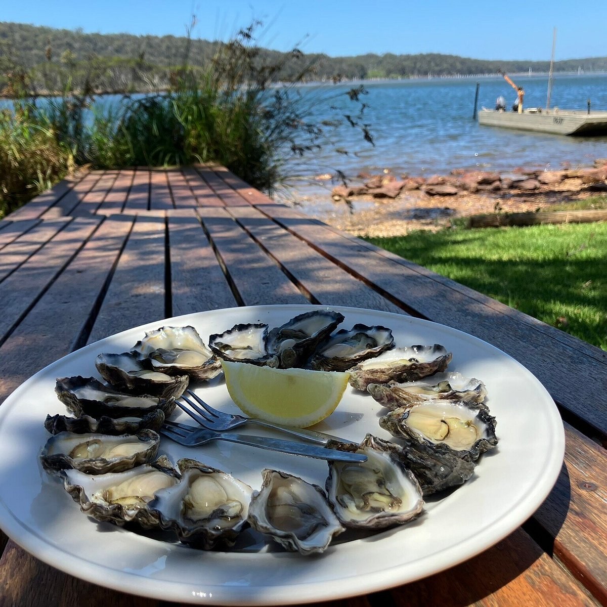 Broadwater Oysters: Estuary Farm Tour & Premium Tasting