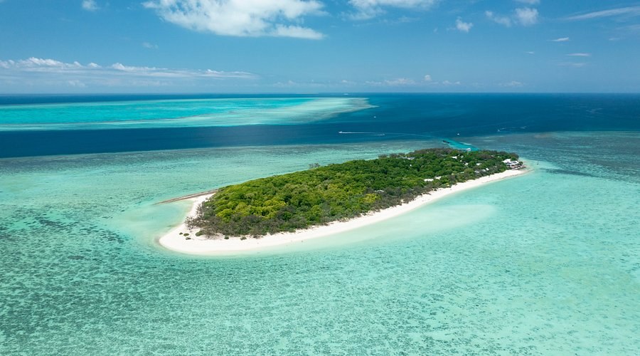 Heron Island: Private Great Barrier Reef Snorkel & Dive