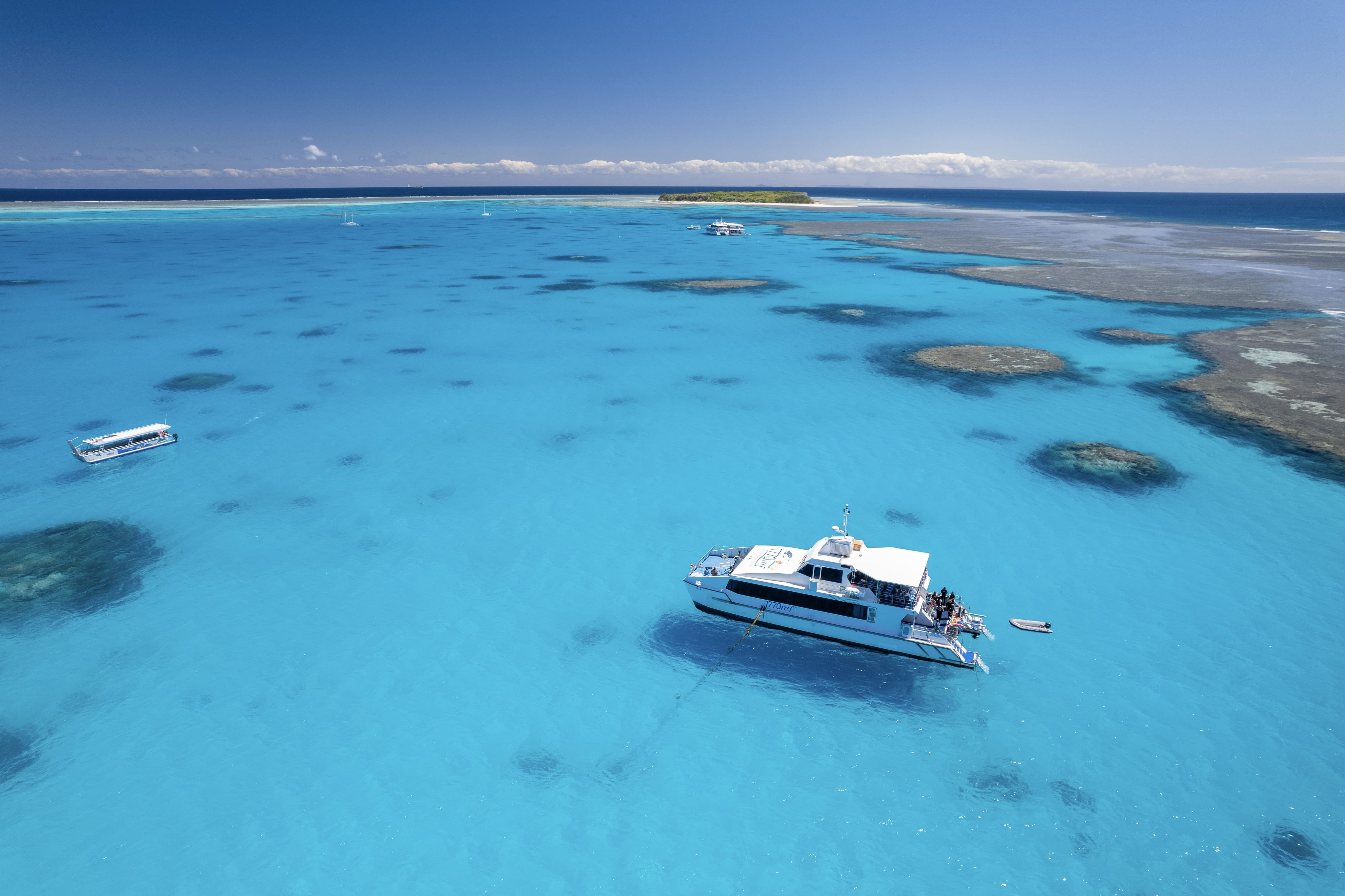 Lady Musgrave Island: Reef Lagoon Day Cruise & Snorkel