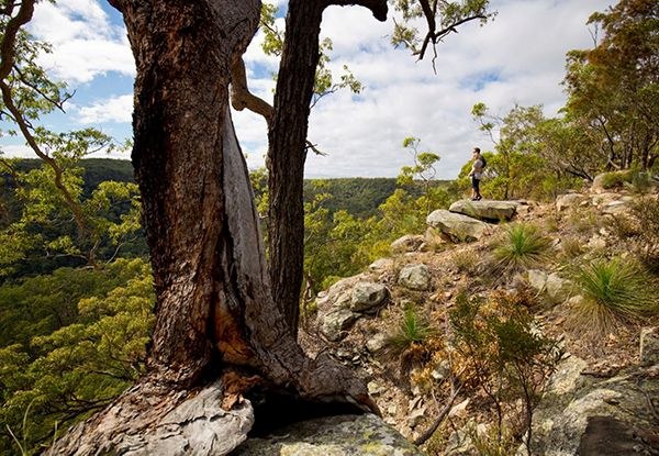 Gorge & Wilderness 4WD Adventure: Boyne Valley & Calliope River