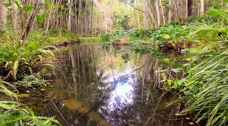 Tondoon Botanic Gardens: Private Guided Native Flora Walk