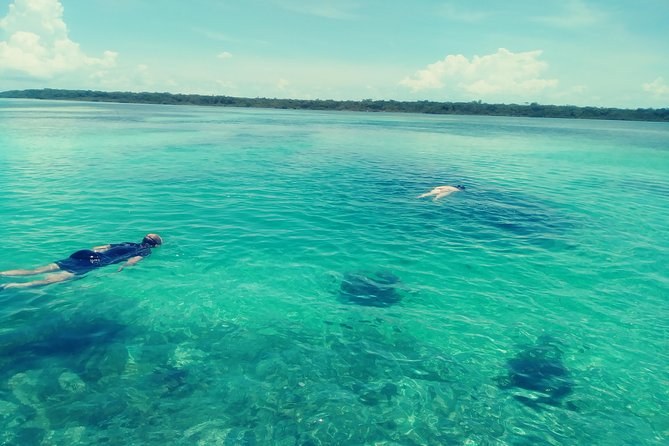 Blue Hole Drift Snorkel & Sea Turtle Encounter