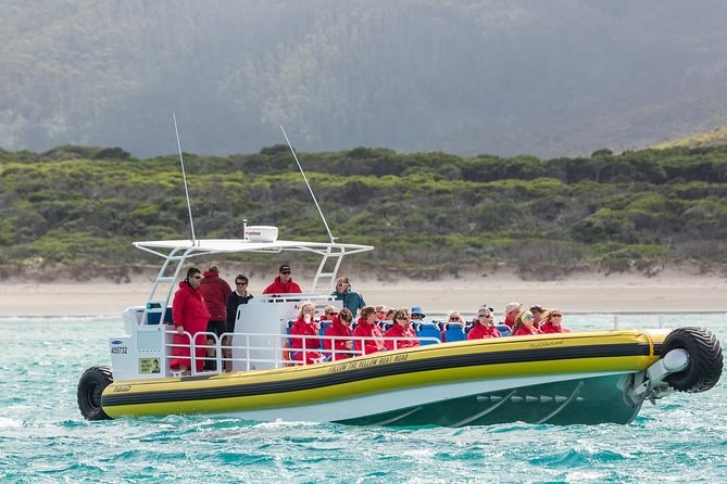 Wilsons Promontory Wilderness Cruise: The End of the Earth
