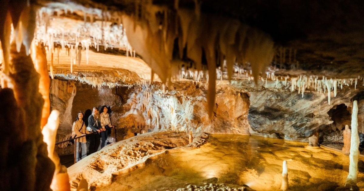 East Gippsland Rainforest & Buchan Caves Private Day Tour