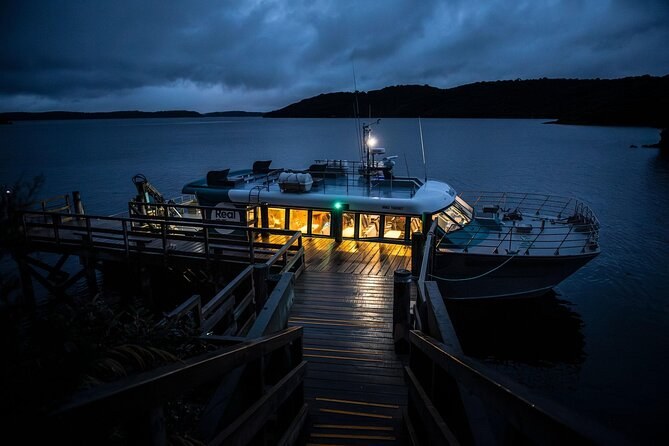 Rakiura/Stewart Island: Kiwi Spotting Wilderness Night Walk